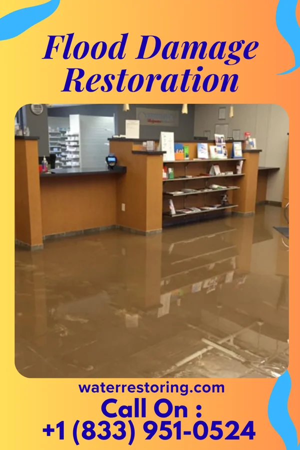 Flood Damage Restoration in St. Charles, MN