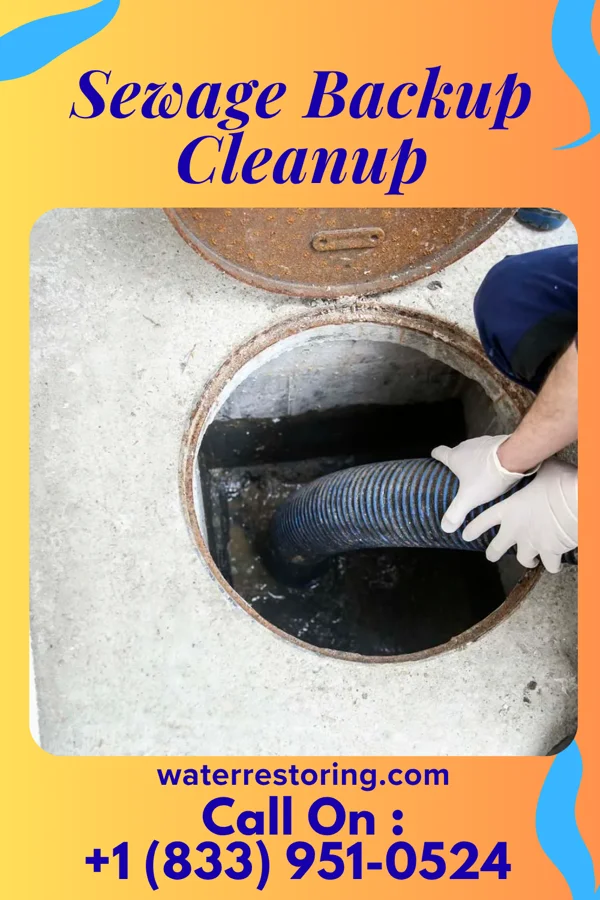 Sewage Backup Cleanup in St. Charles, MN