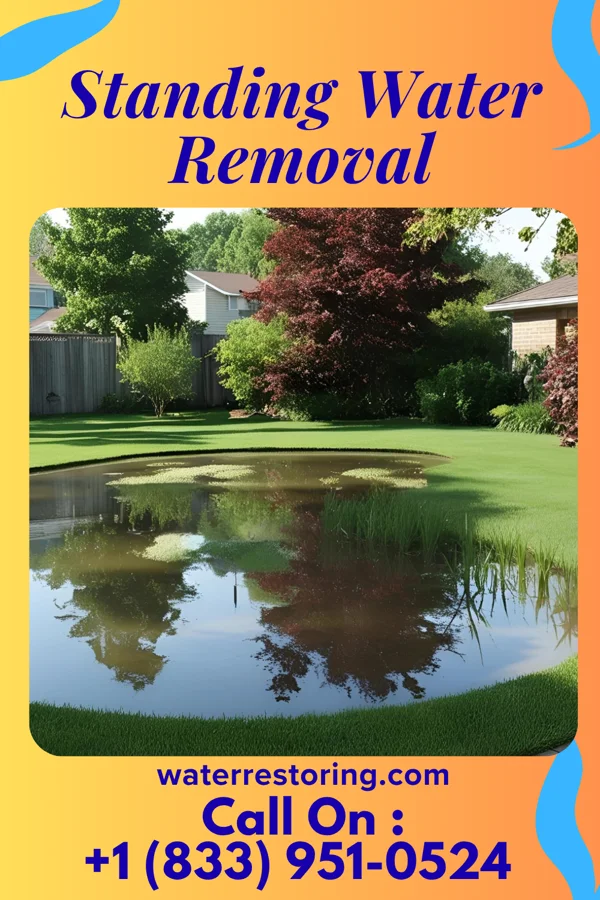 Standing Water Removal in St. Charles, MN